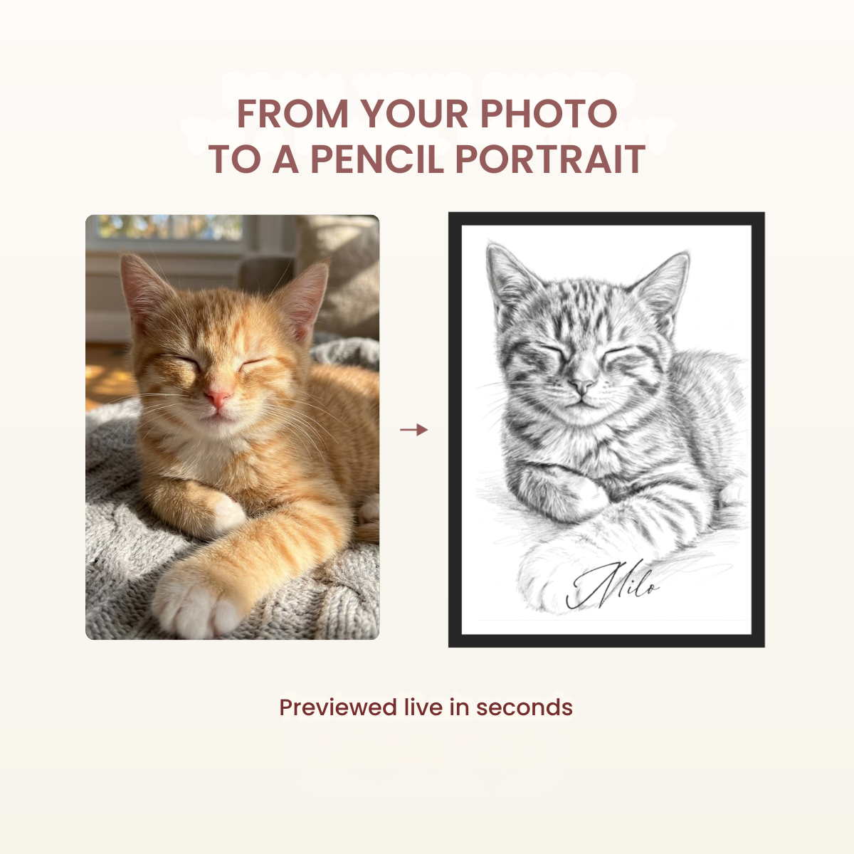 Ginger kitten photo beside a custom pencil-style cat portrait in a black frame, personalised with the name Milo.