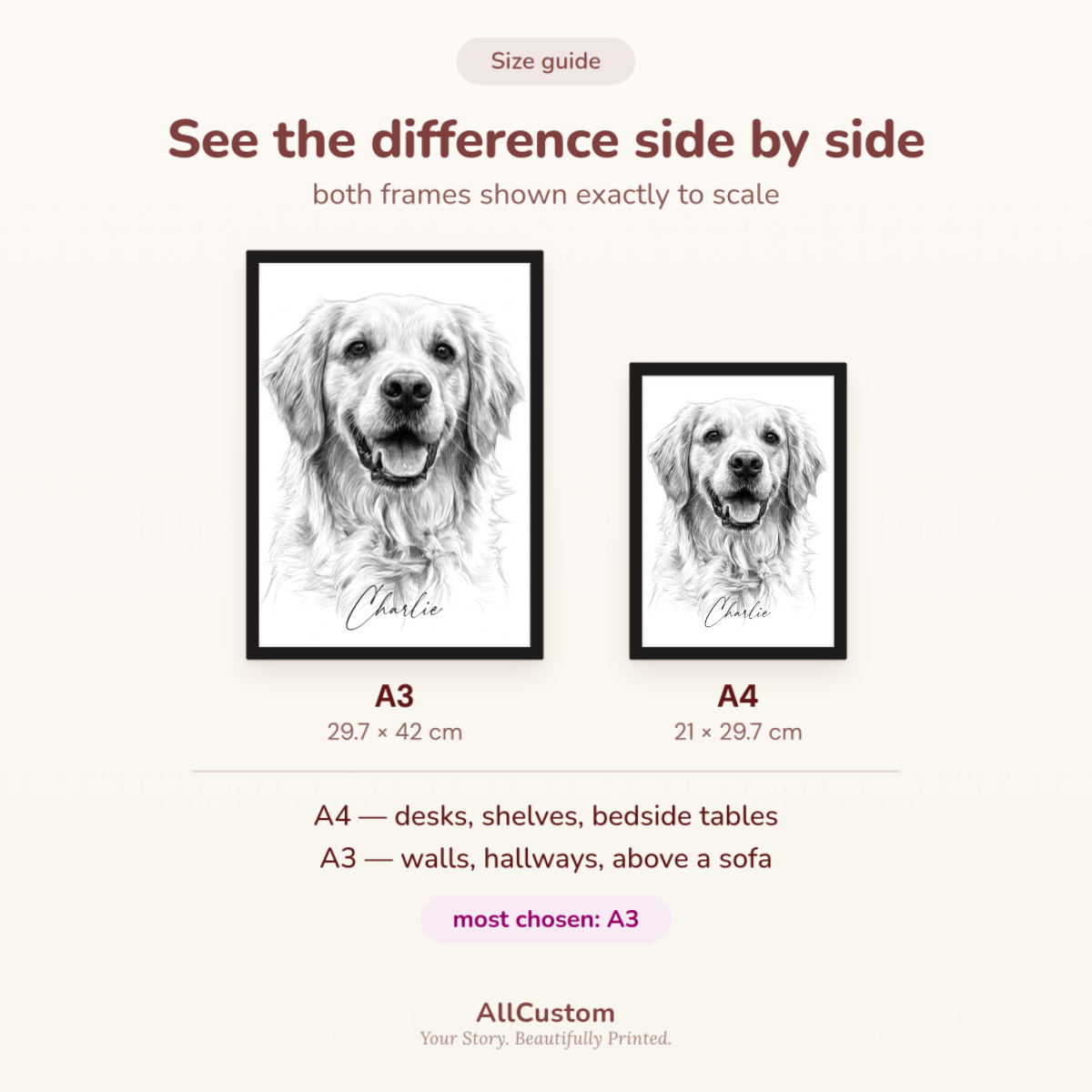 Pet portrait size guide comparing A3 (29.7 x 42 cm) and A4 (21 x 29.7 cm) prints in black frames.