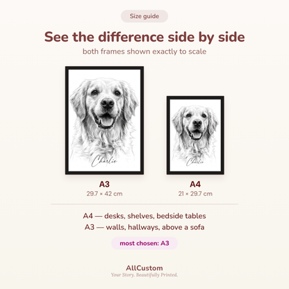 Pet portrait size guide comparing A3 (29.7 x 42 cm) and A4 (21 x 29.7 cm) prints in black frames.