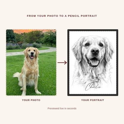 Custom pet portrait before and after — a golden retriever's photo turned into a framed hand-drawn-style pencil portrait